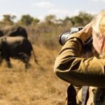 Best time to visit Botswana and Kenya