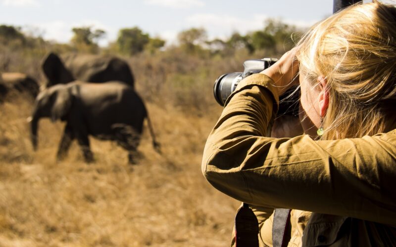 Best time to visit Botswana and Kenya