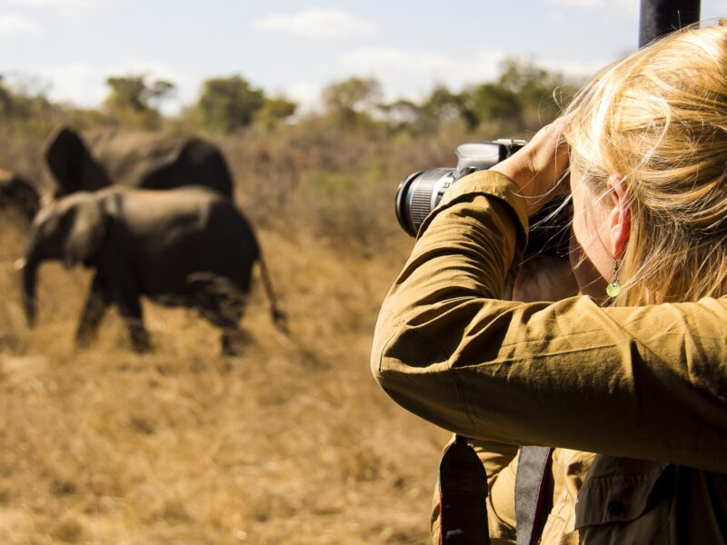 Best time to visit Botswana and Kenya