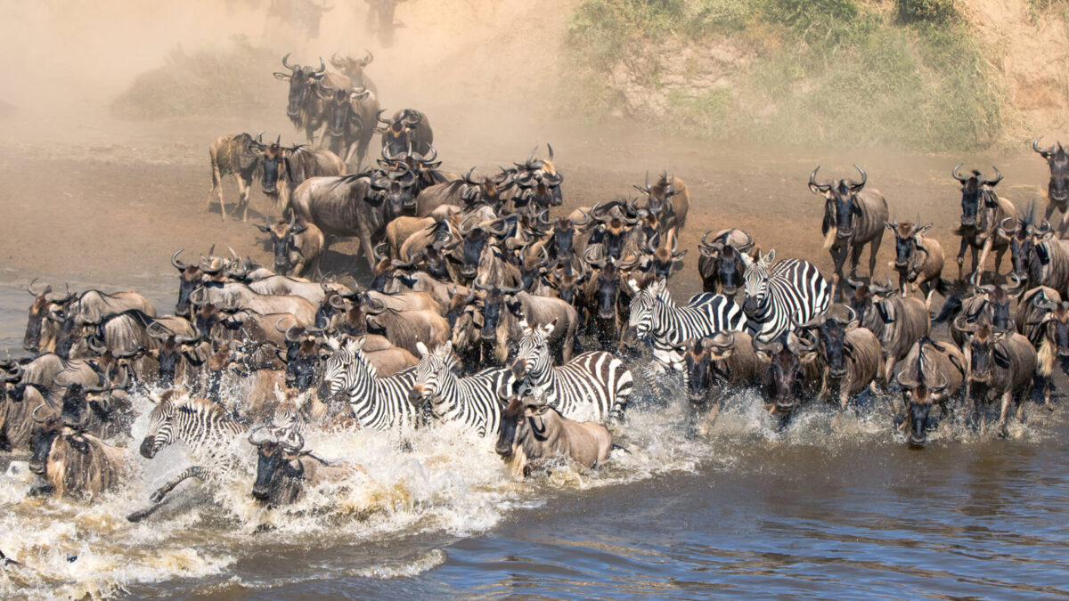 13 Days Kenya Tanzania and Uganda Safari