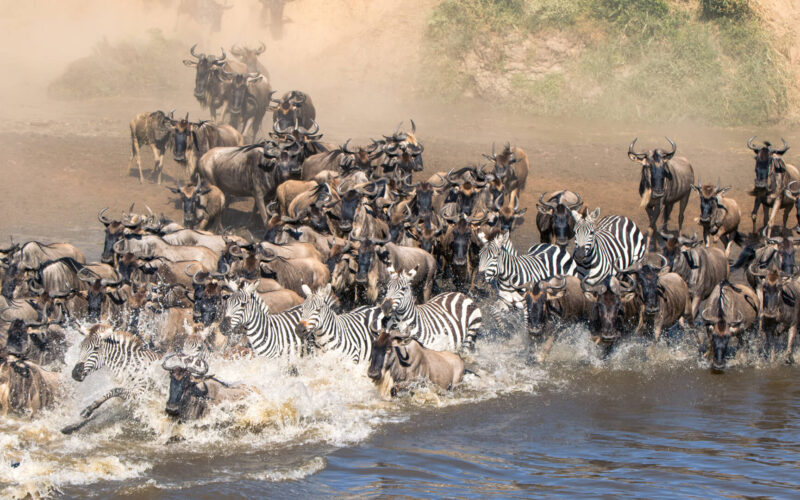 13 Days Kenya Tanzania and Uganda Safari