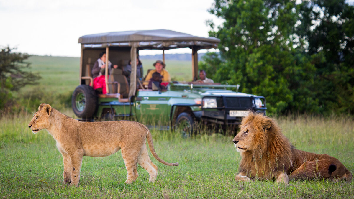 What Is the Best Time for a Photographic Safari in Uganda and Kenya?