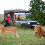 What Is the Best Time for a Photographic Safari in Uganda and Kenya?