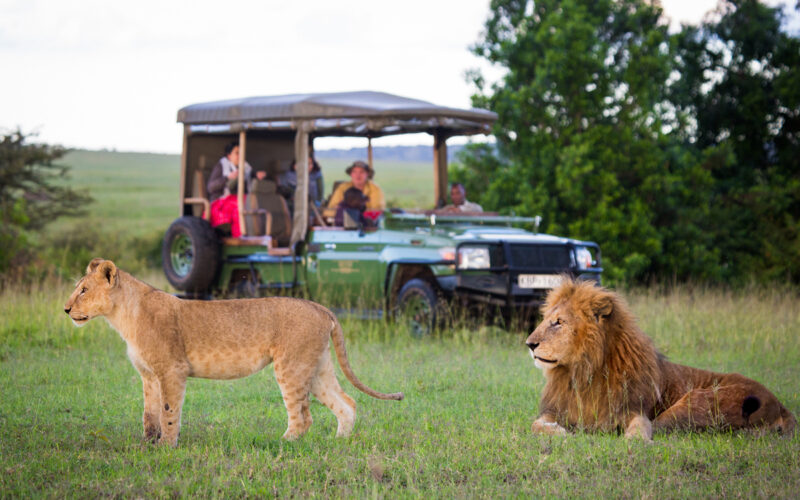 What Is the Best Time for a Photographic Safari in Uganda and Kenya?