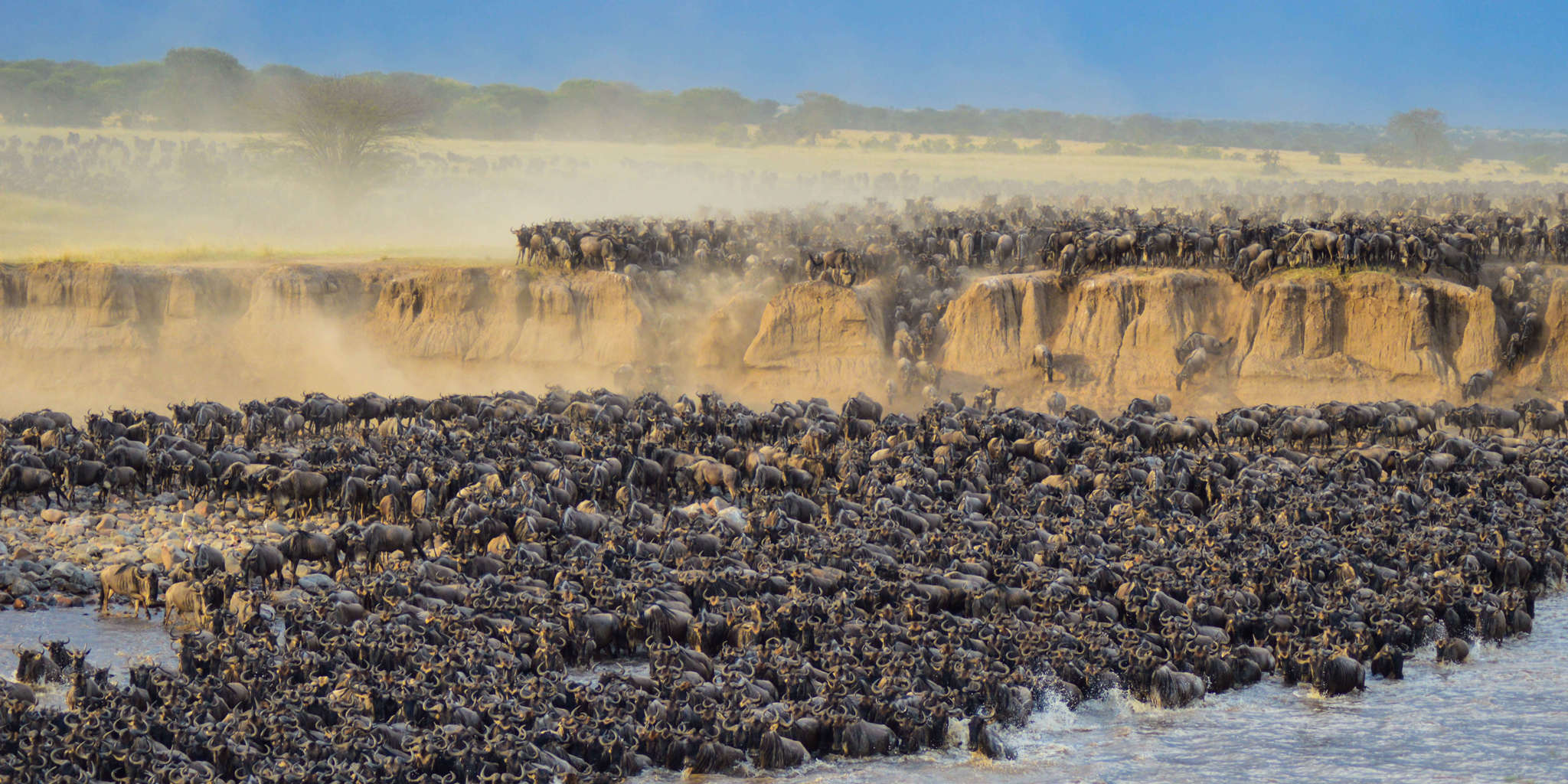 Best Great Migration Safari for Families