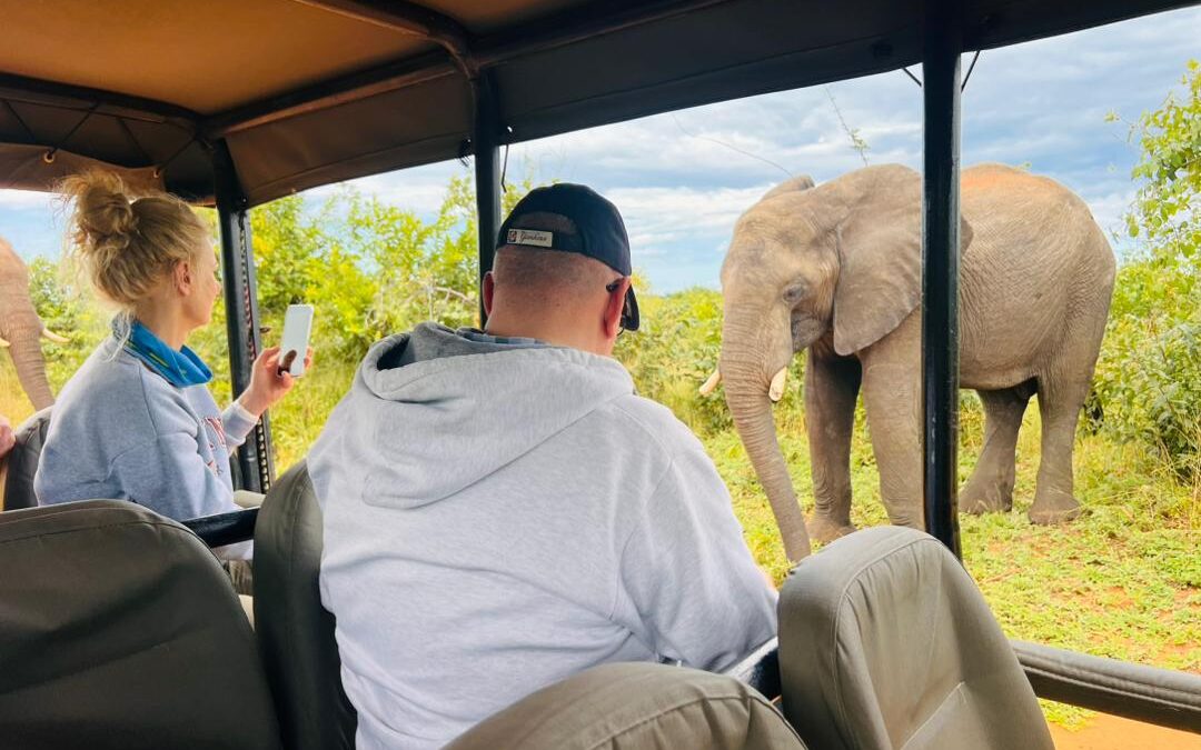 Game drive Safaris in Botswana