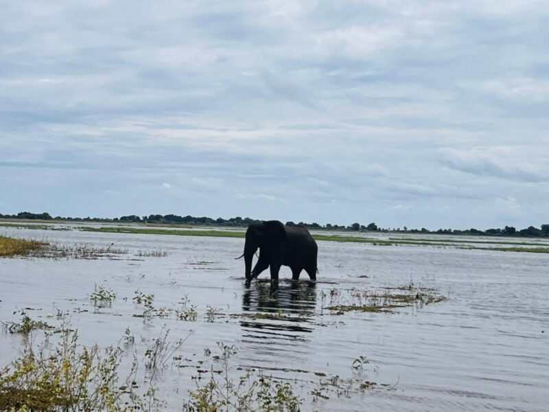 Victoria Falls National Park
