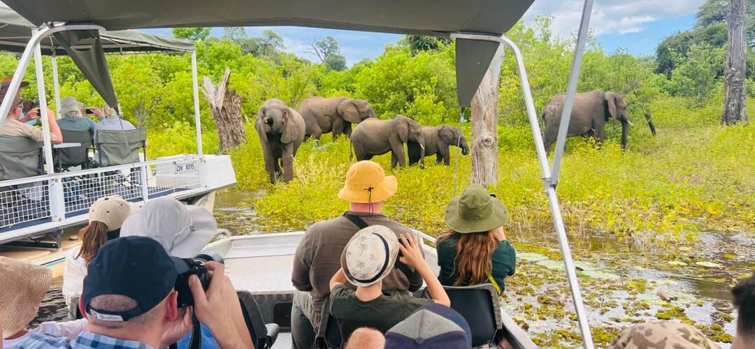 9 Days Best Uganda Safari