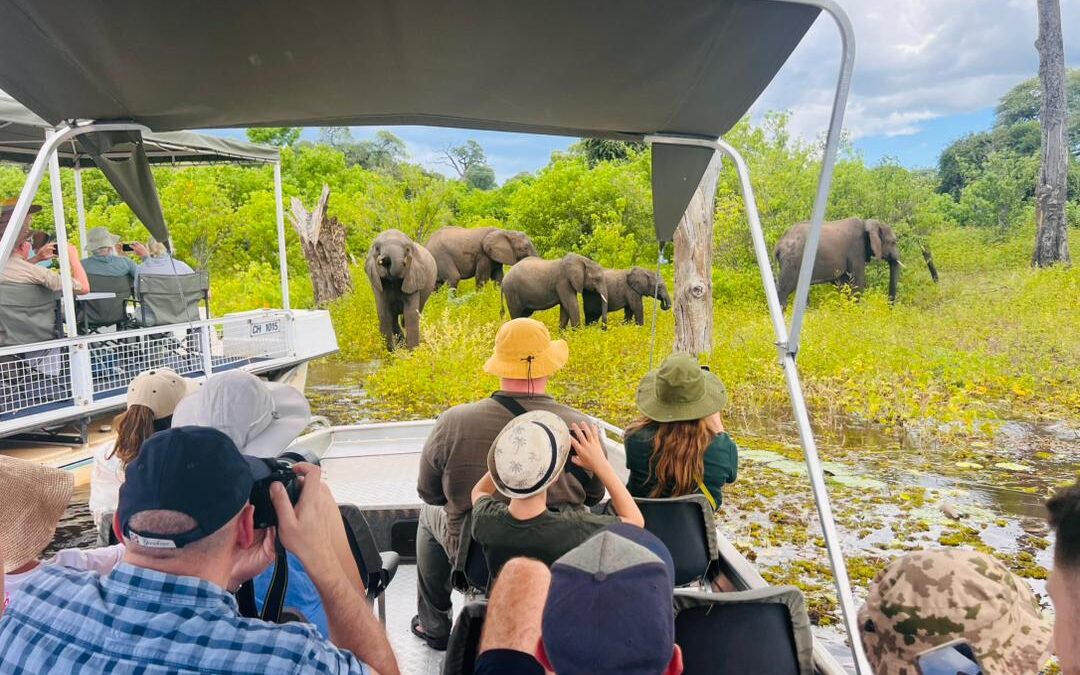9 Days Best Uganda Safari