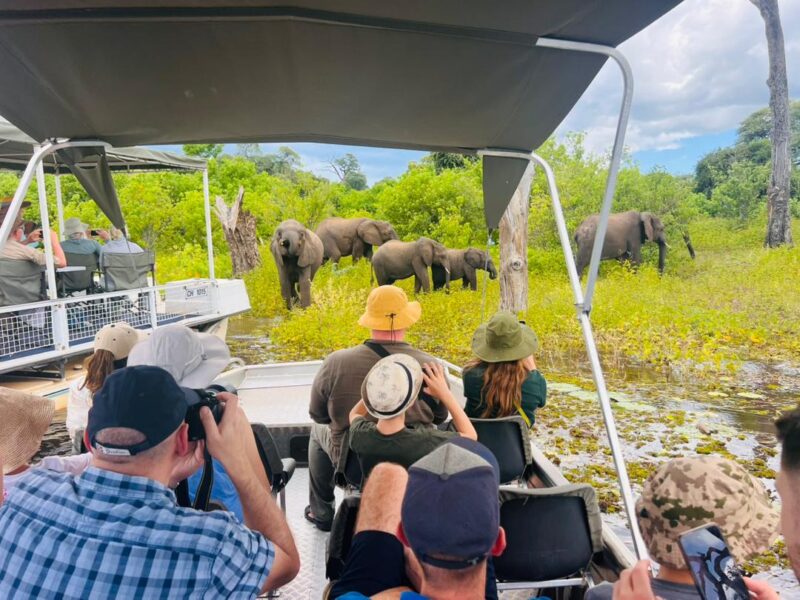 Chobe Botswana Safari