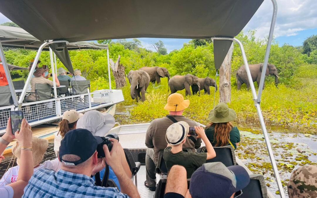 Chobe River Boat Cruise