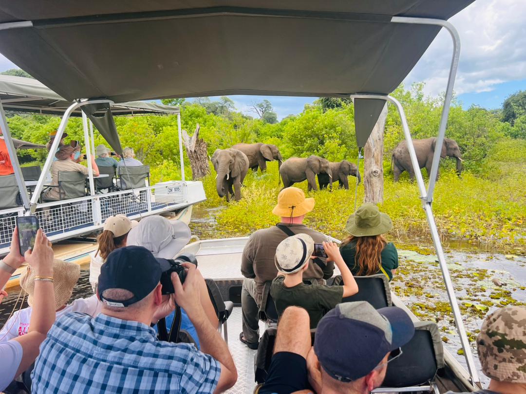 Zimbabwe-Botswana-Uganda-Rwanda Safari