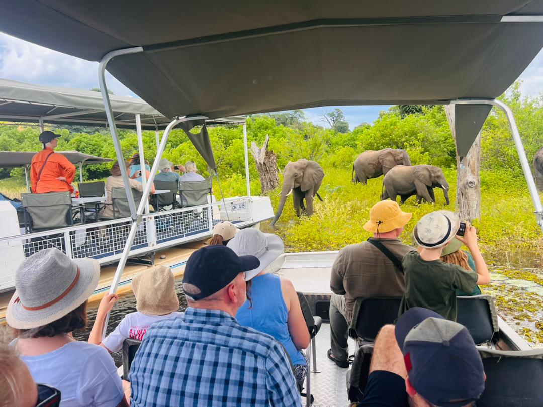 Zimbabwe Botswana and Uganda Safari