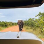 Victoria Falls National Park