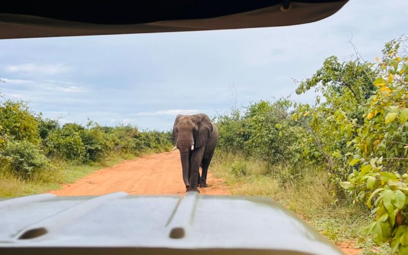 Victoria Falls National Park