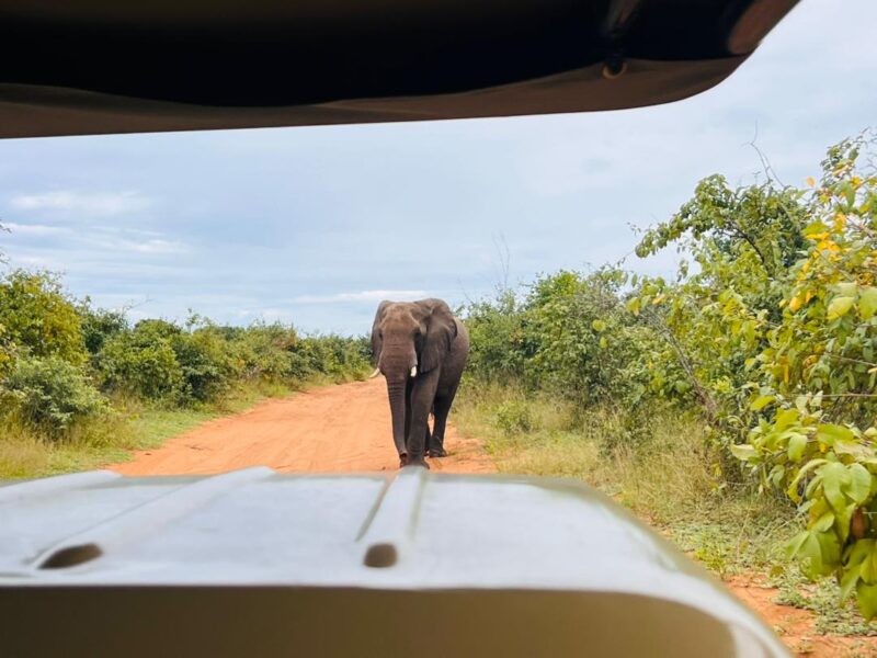 Victoria Falls National Park