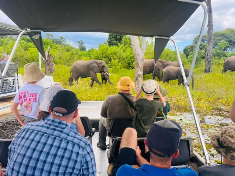 Chobe River Boat Cruise Africa Safaris
