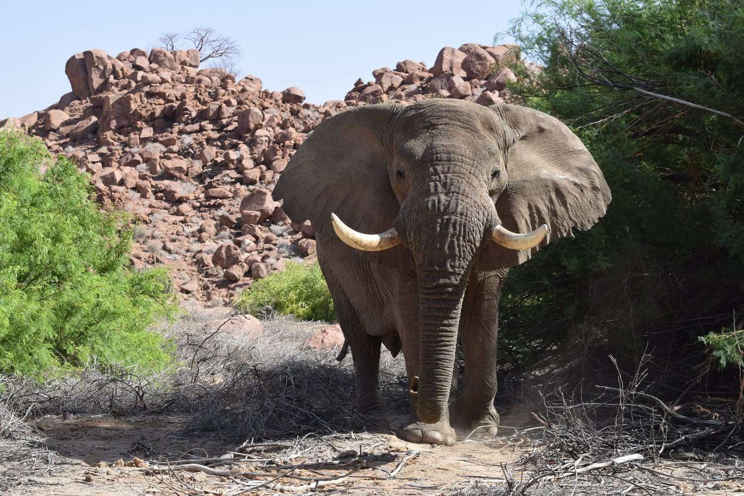 Damaraland and Kaokoveld