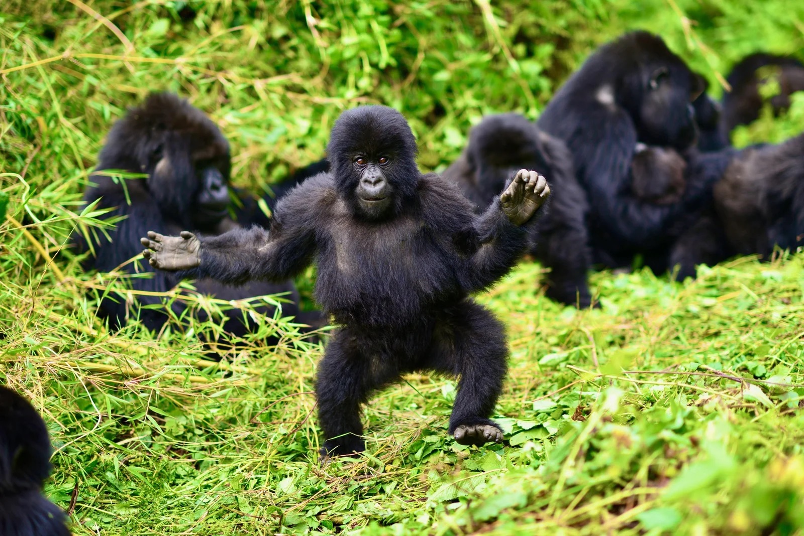 Uganda Strengthens Its Global Tourism Voice