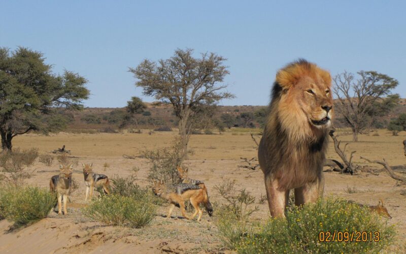 Best time to visit Botswana and Tanzania