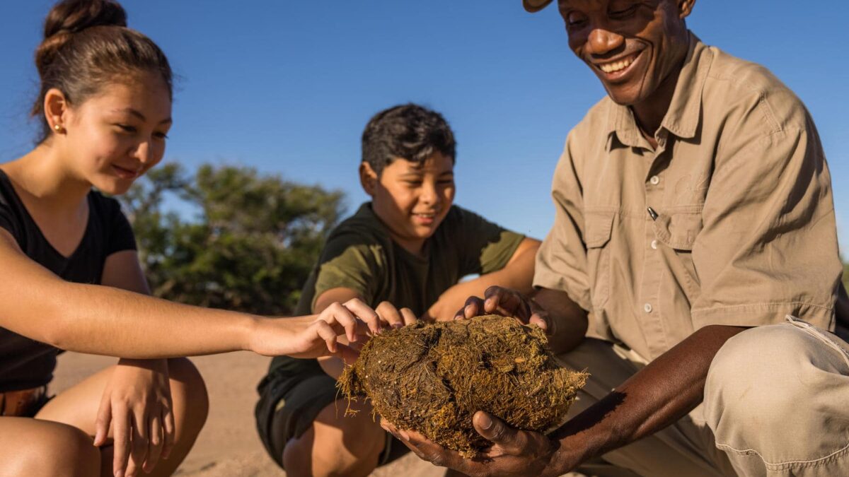 Guided Namibia Game Safaris