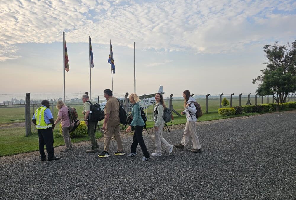 Tanzania Great Migration Safari