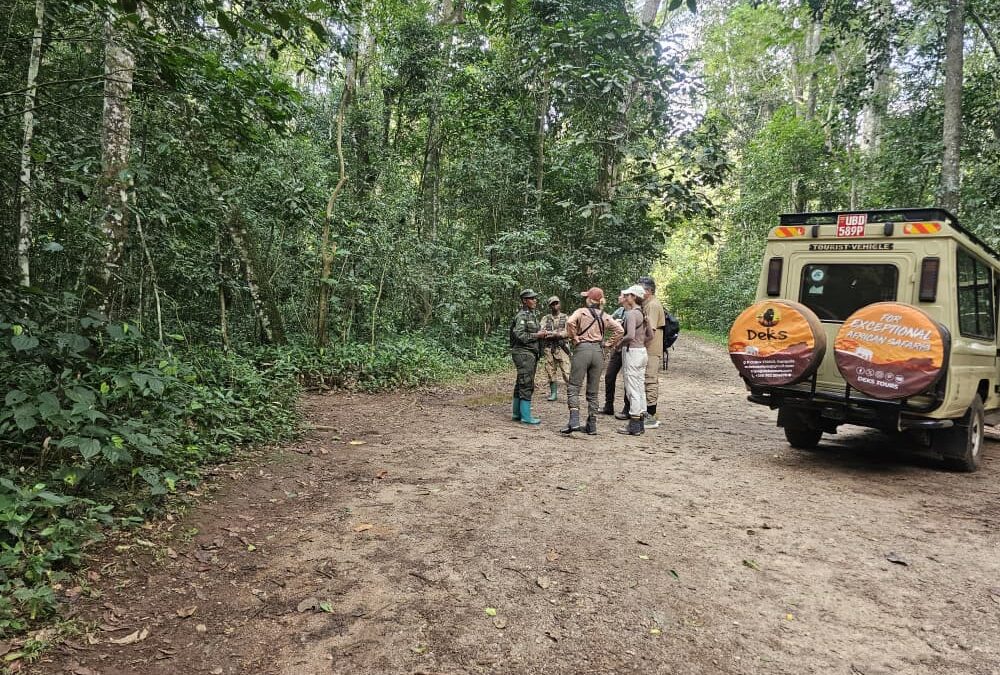 Is Rwanda Worth It for Safari