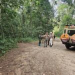 Is Rwanda Worth It for Safari