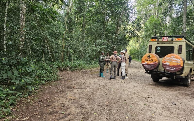Is Rwanda Worth It for Safari