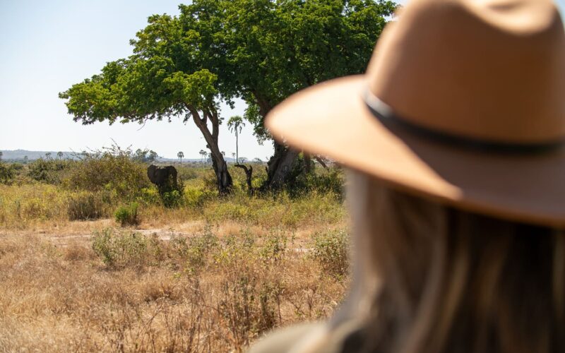 Passport Requirements for Rwanda and Tanzania