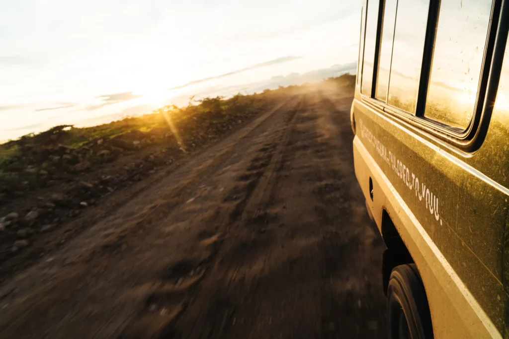 Combining Rwanda and Tanzania: A Seamless Itinerary