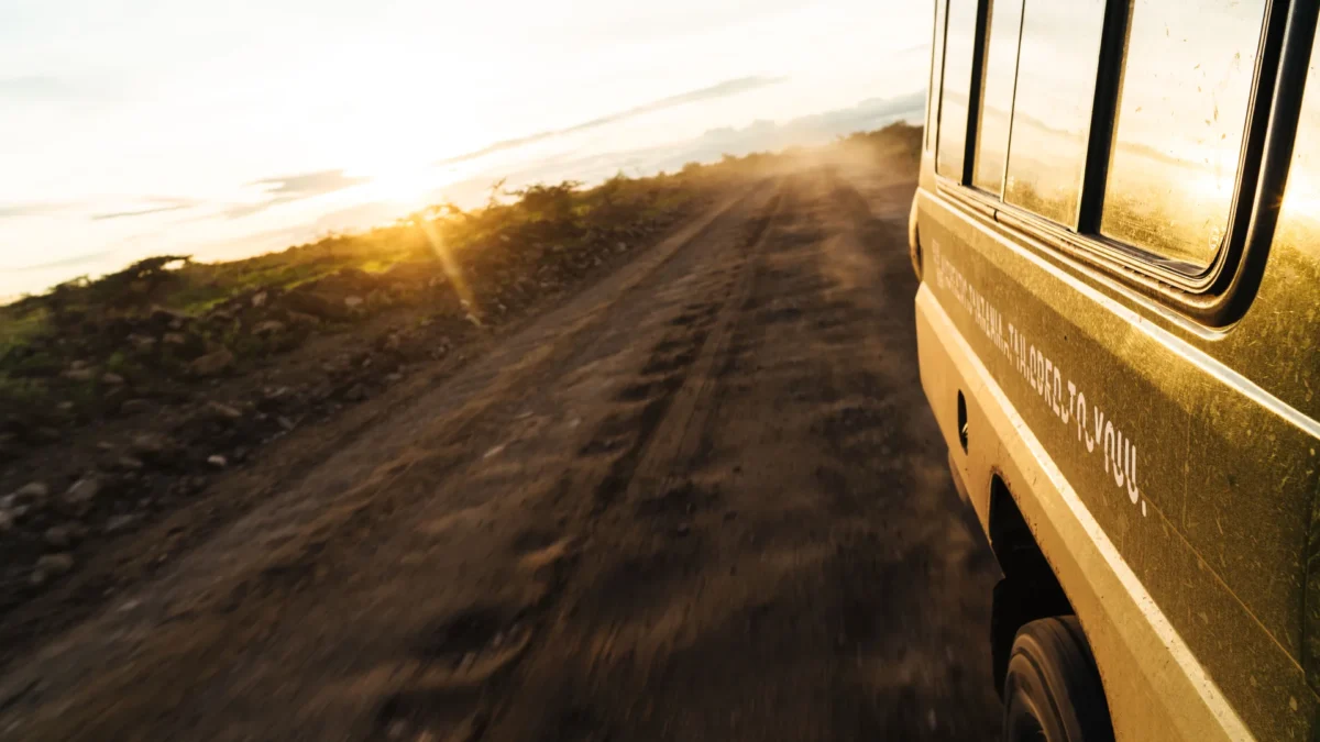 Combining Rwanda and Tanzania: A Seamless Itinerary