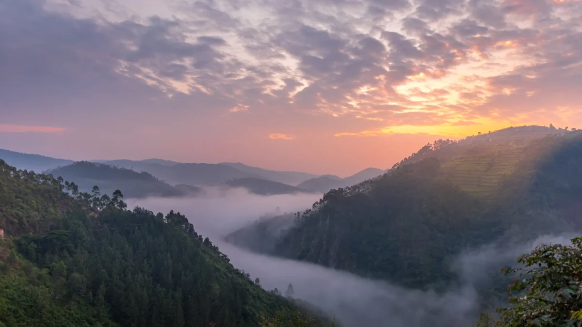 Discover the Albertine Rift Valley