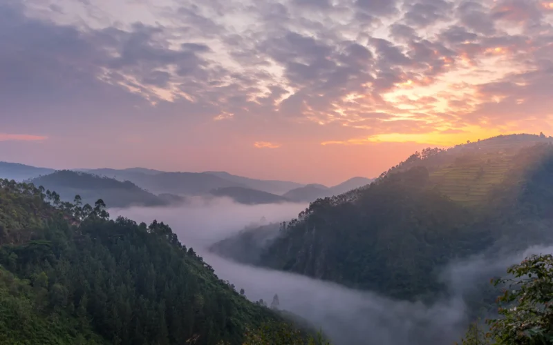 Discover the Albertine Rift Valley